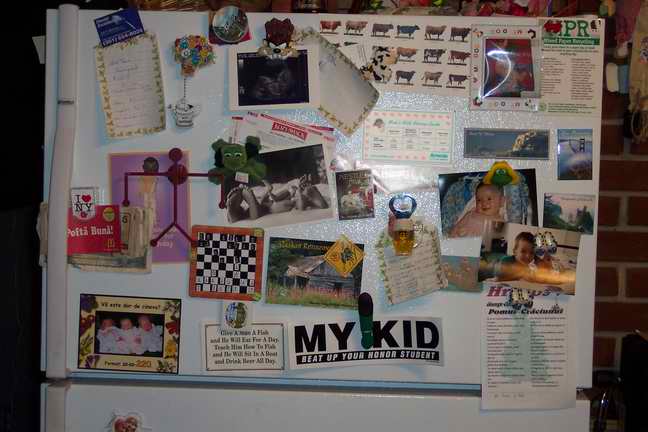 fridge2.jpg