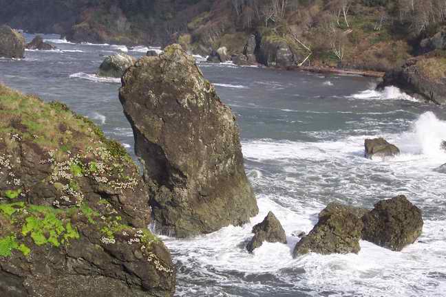 resize_coast.jpg